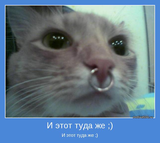 И этот туда же ;)