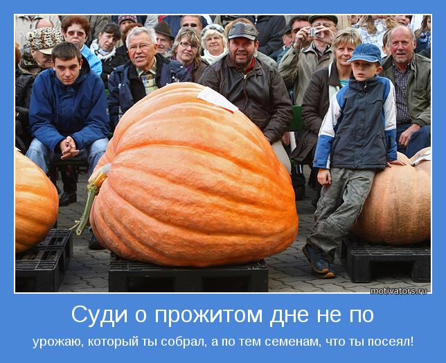 урожаю, который ты собрал, а по тем семенам, что ты посеял!