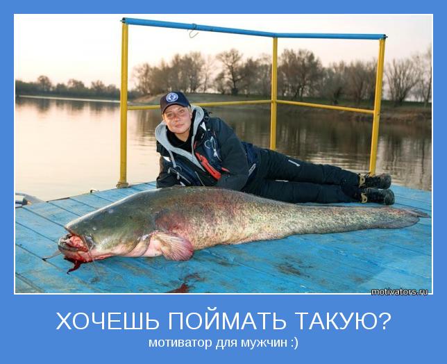 рыбалка в мае волга цены рыбалка в мае волга цены