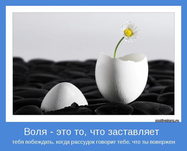 тебя побеждать, когда рассудок говорит тебе, что ты повержен