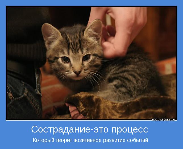 Который творит позитивное развитие событий 