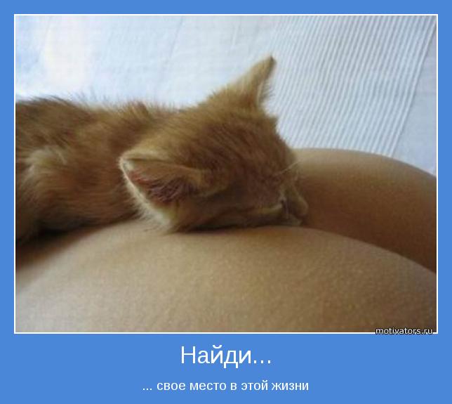 ... свое место в этой жизни