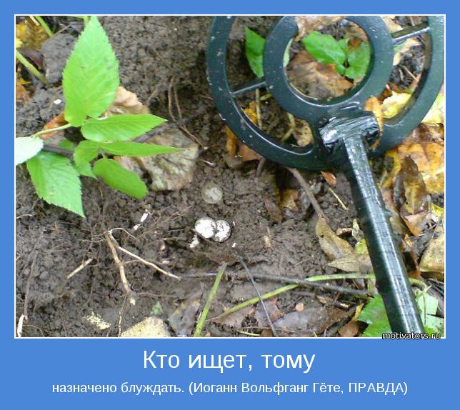 назначено блуждать. (Иоганн Вольфганг Гёте, ПРАВДА)