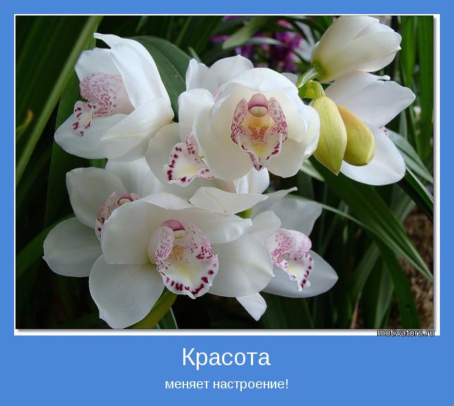 меняет настроение!