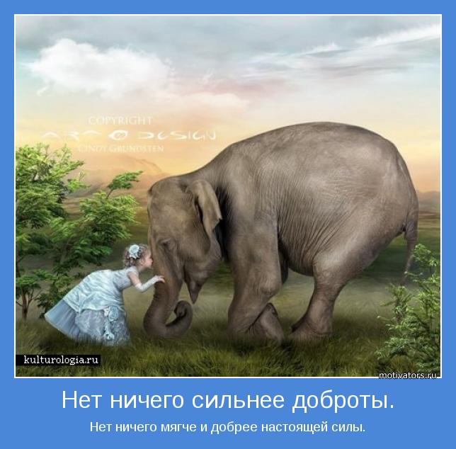 Нет ничего мягче и добрее настоящей силы.