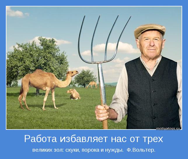 великих зол: скуки, порока и нужды.  Ф.Вольтер.