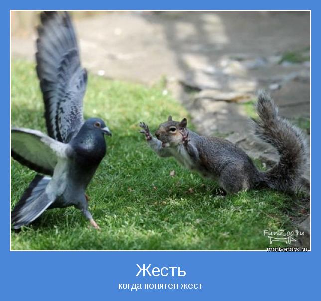 когда понятен жест