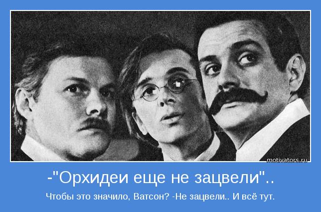 Чтобы это значило, Ватсон? -Не зацвели.. И всё тут.