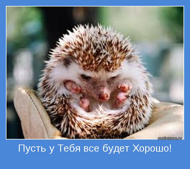 У ребенка воспалились лимфоузлы на шее как лечить У ребенка воспалились лимфоузлы на шее как лечить