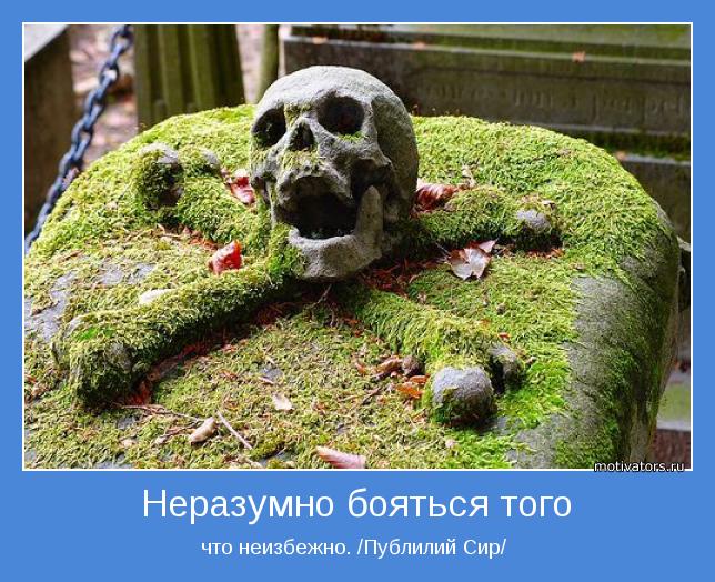 что неизбежно. /Публилий Сир/ 