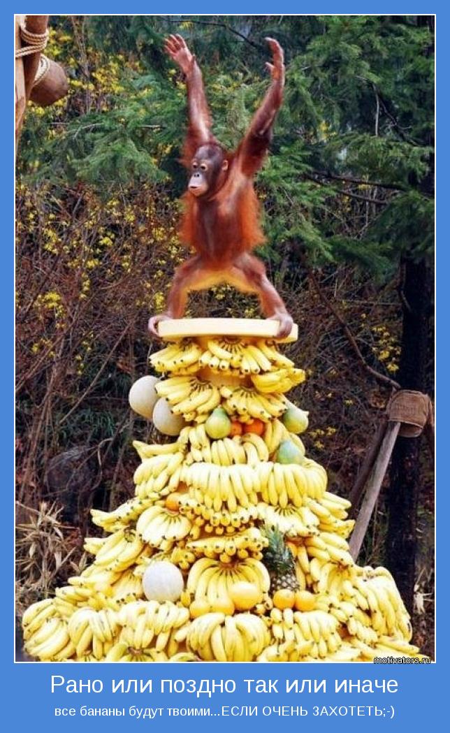 все бананы будут твоими...ЕСЛИ ОЧЕНЬ ЗАХОТЕТЬ;-)