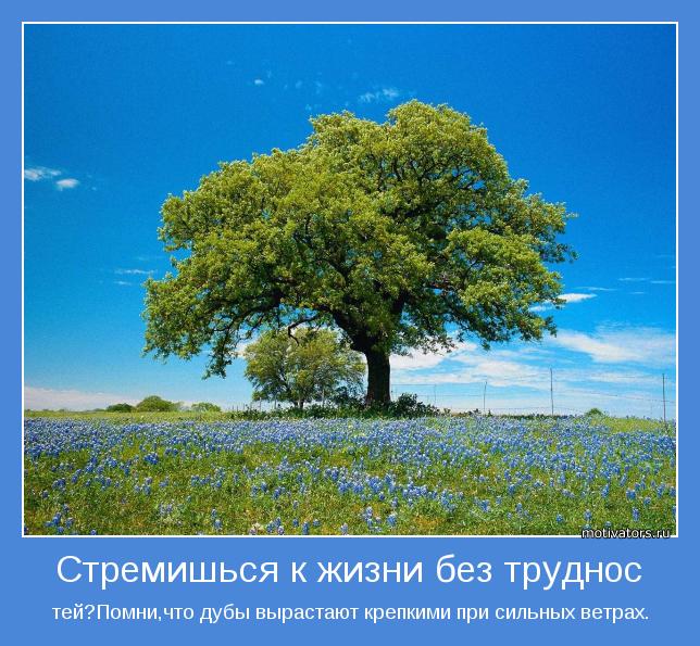 тей?Помни,что дубы вырастают крепкими при сильных ветрах.