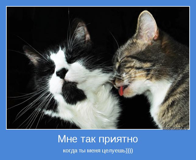 когда ты меня целуешь))))
