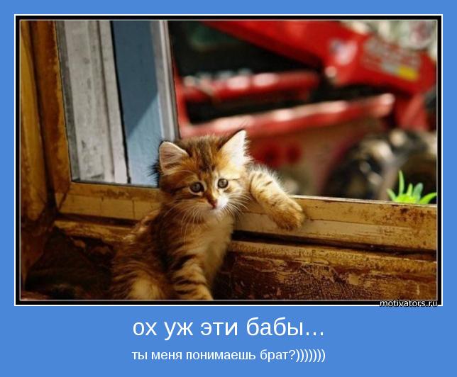 http://www.motivators.ru/sites/default/files/imagecache/main-motivator/motivator-3135.jpg