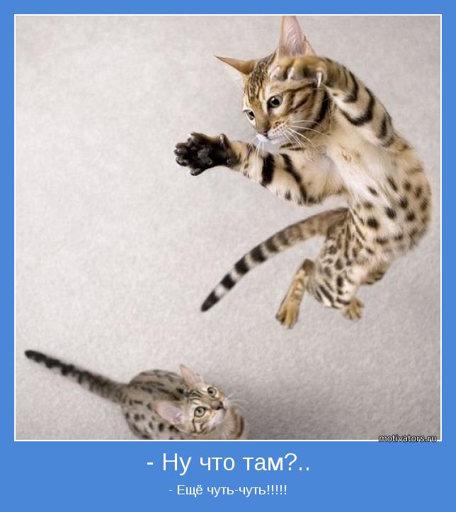 - Ещё чуть-чуть!!!!!