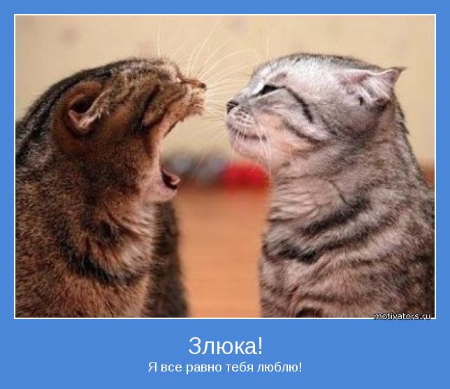 Я все равно тебя люблю!