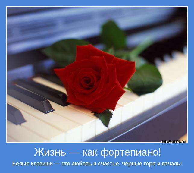 Белые клавиши — это любовь и счастье, чёрные горе и печаль!