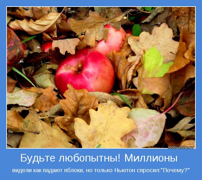 видели как падают яблоки, но только Ньютон спросил:"Почему?"