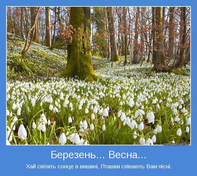 Хай світить сонце в вишині, Пташки співають Вам пісні.