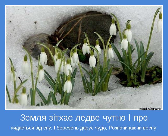 кидається від сну, І березень дарує чудо, Розпочинаючи весну