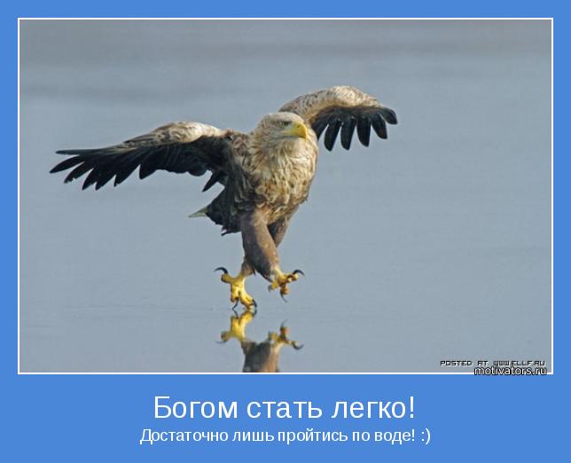 Достаточно лишь пройтись по воде! :)