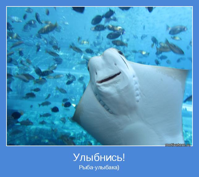 Рыба-улыбака)