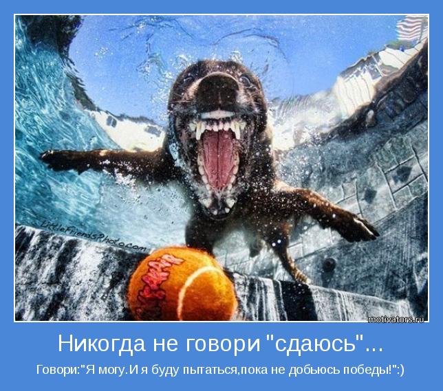 Говори:"Я могу.И я буду пытаться,пока не добьюсь победы!":)