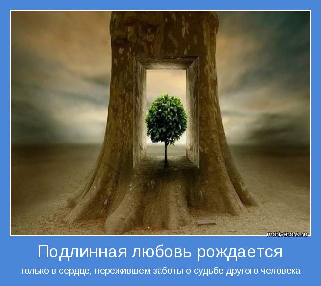 только в сердце, пережившем заботы о судьбе другого человека