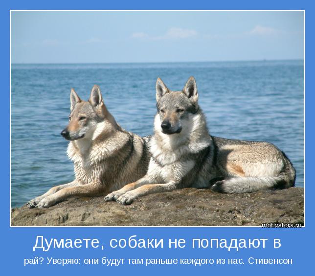  рай? Уверяю: они будут там раньше каждого из нас. Стивенсон