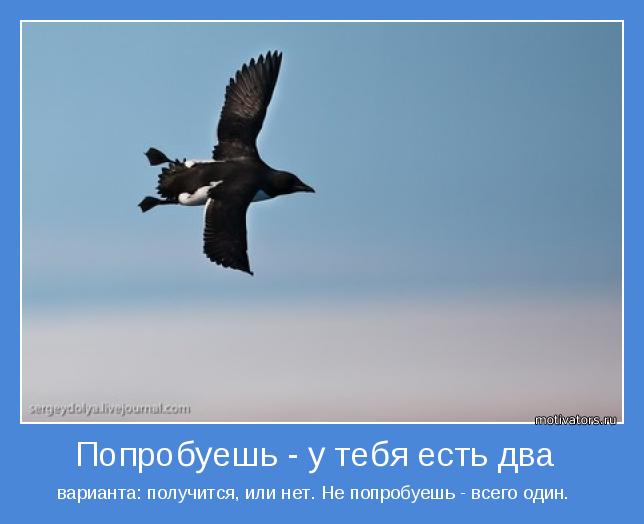 варианта: получится, или нет. Не попробуешь - всего один.   