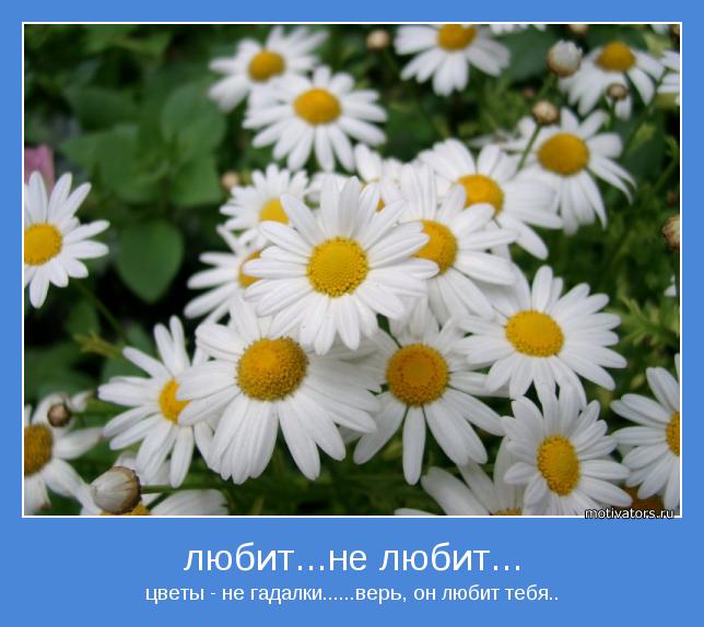 цветы - не гадалки......верь, он любит тебя..
