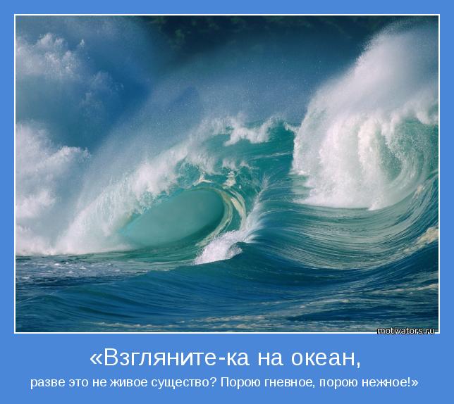 разве это не живое существо? Порою гневное, порою нежное!» 