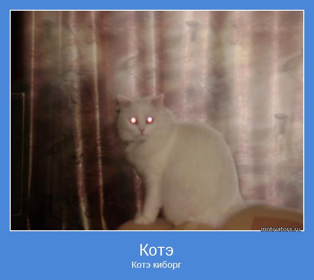 Котэ киборг