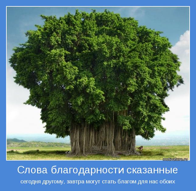 сегодня другому, завтра могут стать благом для нас обоих