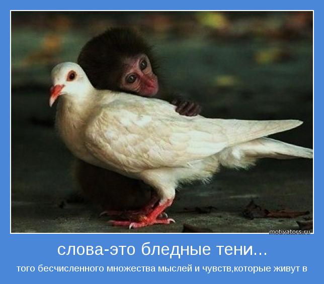 того бесчисленного множества мыслей и чувств,которые живут в