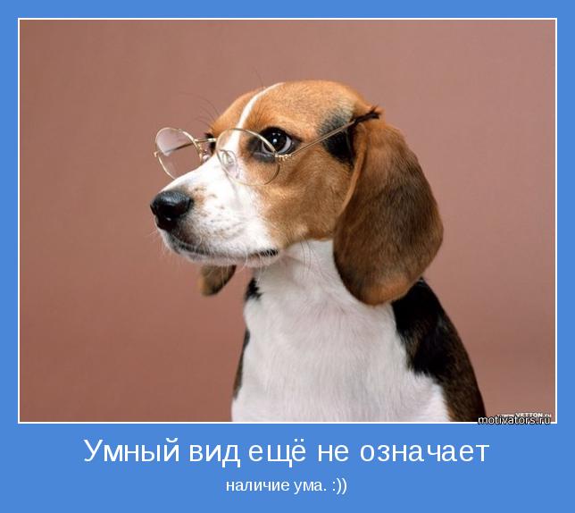 наличие ума. :))