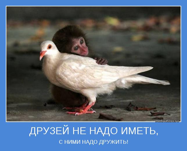 С НИМИ НАДО ДРУЖИТЬ!