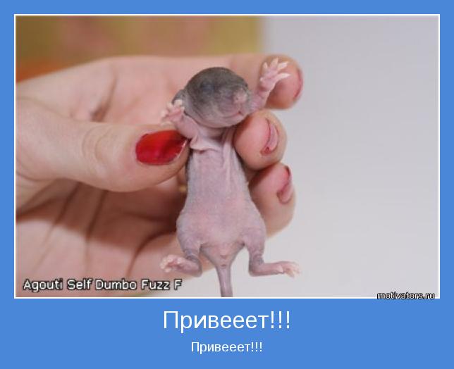 Привееет!!!