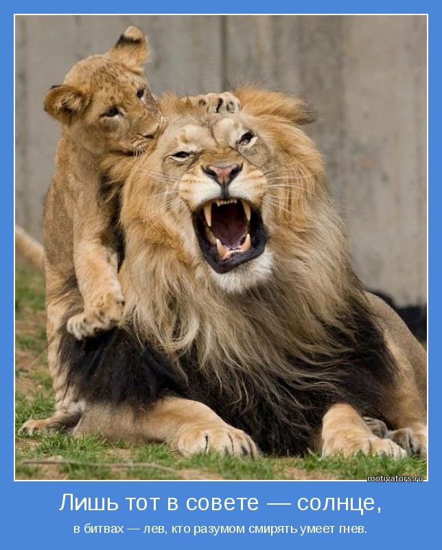в битвах — лев, кто разумом смирять умеет гнев.