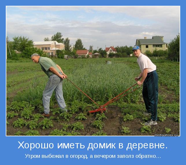 Хорошо в деревне летом картинки прикольные