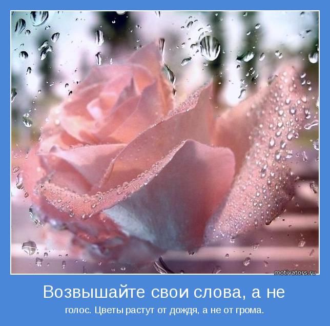 голос. Цветы растут от дождя, а не от грома.