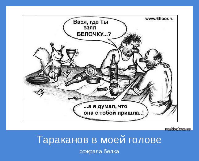 сожрала белка