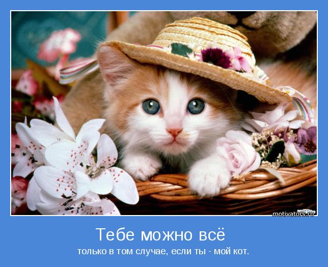 только в том случае, если ты - мой кот.