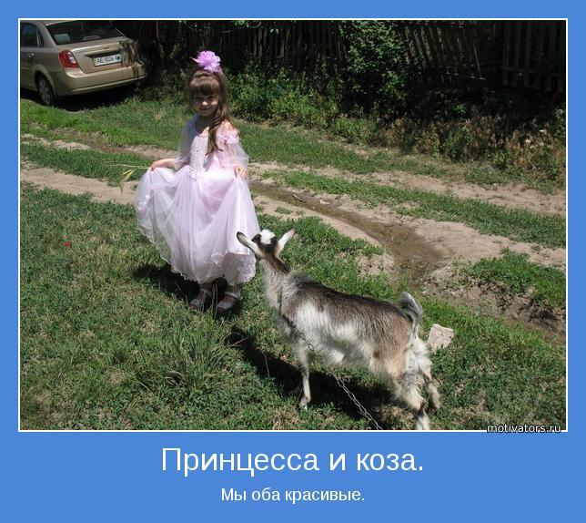 Мы оба красивые.