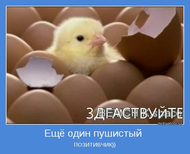 ПОЗИТИВЧИК))