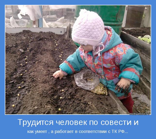 как умеет , а работает в соответствии с ТК РФ...