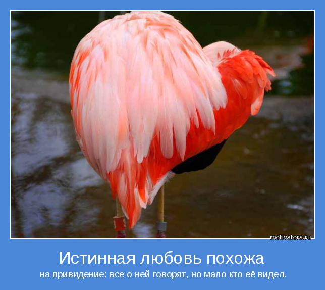  на привидение: все о ней говорят, но мало кто её видел.