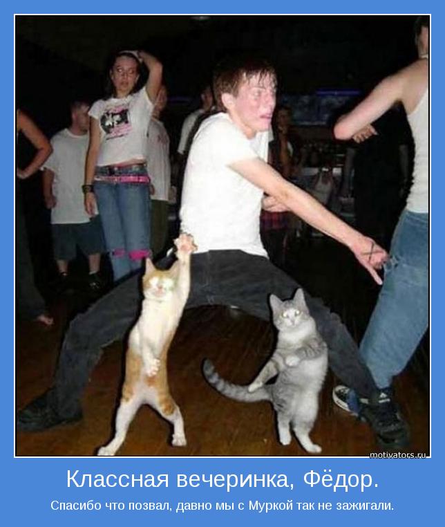 Спасибо что позвал, давно мы с Муркой так не зажигали.