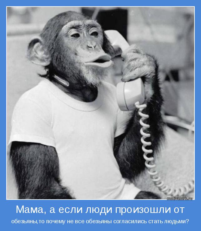 обезьяны,то почему не все обезьяны согласились стать людьми?
