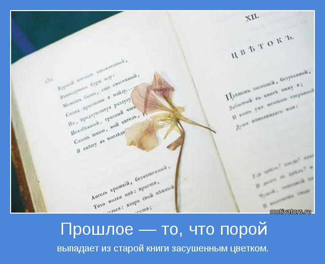 выпадает из старой книги засушенным цветком.